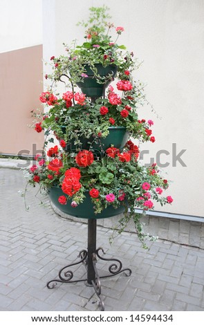Flowers of a geranium and petunia of red and pink color in three-storied dark green cache-pot.