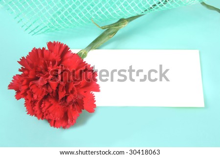 Background with a red carnation and place for the text.