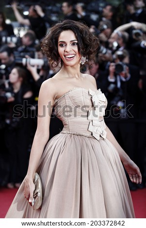 CANNES, FRANCE - MAY 14: Mallika Sherawat attends the Premiere of \'Wall Street: Money Never Sleeps\' during the 63rd Cannes Film Festival on May 14, 2010 in Cannes, France.