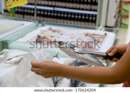 selection of fresh frozen fish in seafood supermarket