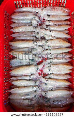 raw squid background on Asian fish market