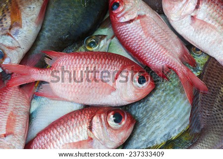 Background of fresh red fish on the Asian fish market