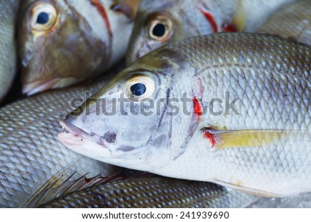 Background of sea fish head on fish market in Vietnam