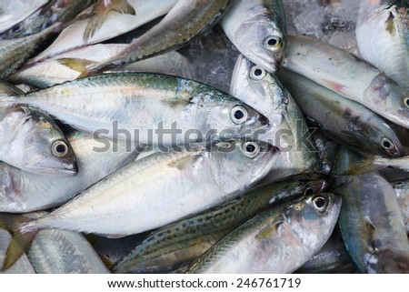 Background of fresh fish on the Asian fish market