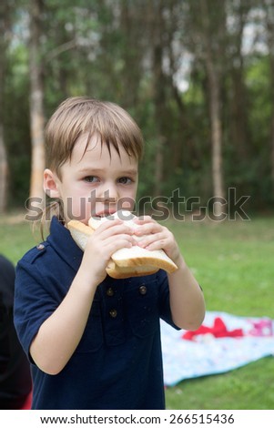 Cute boy eating sandwich on spring party in park