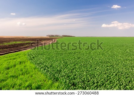 Agro field with earth under sky
