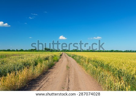 Horizontal landscape of corn fields with country road between under sky.