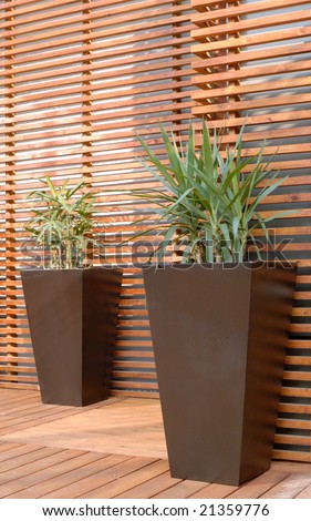 potted plants at the roof-garden
