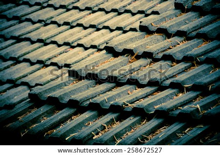 Earthenware roof of a building with leaves falling on it. Selective focus. Dark-blue tone. With vignetting effect.