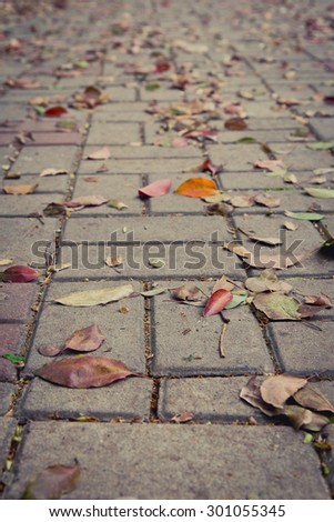 Selective focus. Fallen leaves on brick ground.
