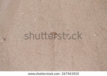Seamless beach sand surface texture.