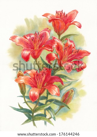 Watercolor painting of red lily, vertical.