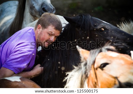 PONTEVEDRA, SPAIN - AUGUST 5: Unidentified horseman (Loitadores) try to tame a wild horse, in a traditional celebration \