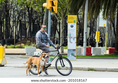 BARCELONA, SPAIN - APRIL 11, 2014: A young bicycle and a dog, waiting for the light to turn green at La Plaza de las Glories Catalanes in Barcelona.