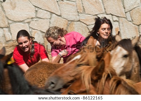 PONTEVEDRA - AUGUST 7: Woman fighters try to tame horse, separating the offspring of wild horses, in a traditional celebration \