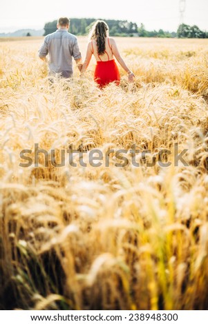 Couple Holding Hands in wheat field walking away from camera more wheat in camera view