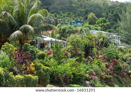 இயற்கையுடன் கலந்த அழகுக் காட்சிகள் சில! - Page 4 Stock-photo-houses-of-seychelles-surrounded-by-beautiful-gardens-trees-and-flowers-mahe-island-16831291