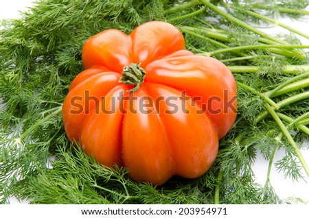 Beefsteak tomato on dill, isolated on white