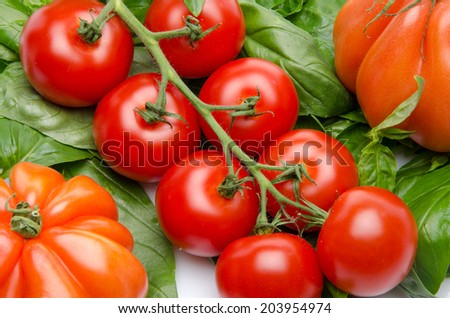 Cluster and beefsteak tomatoes on basil