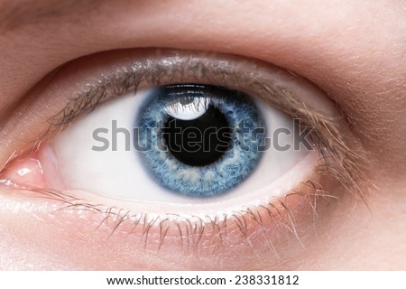 Close up blue eye , macro shot. Medical oculist care concept
