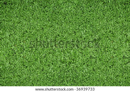 stock photo : Green grass background of soccer field