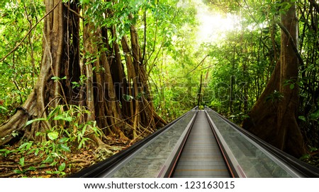 Moving walkway in the green rain forest - concept of working or living in eco friendly place
