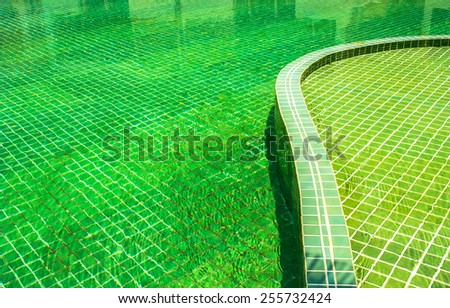 Detail of adult and children  swimming pool.\
Green  swimming pool.