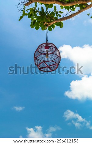 Lamp hang on branch on blue sky background.\
Lamp hang on branch.
