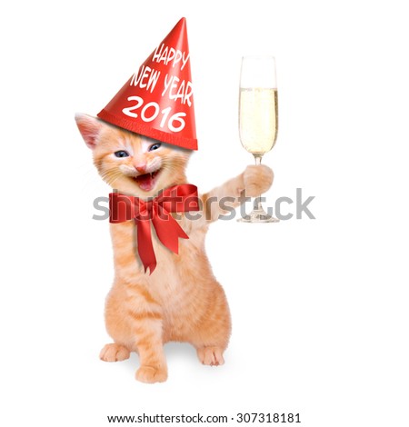 laughing cat with glass of champagne and party hat Happy New Year 2016