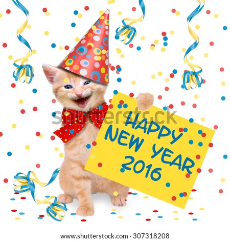 laughing cat with glass of champagne and party hat Happy New Year 2016