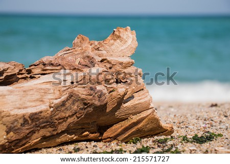 Driftwood log on the beach