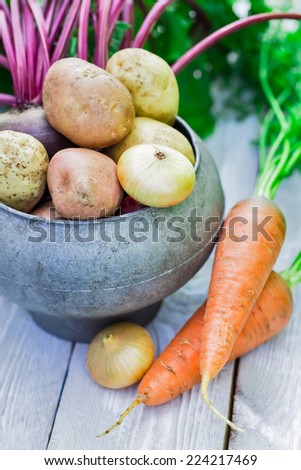 Still life of of vegetable Root crop