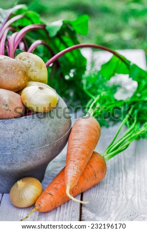 Still life of of vegetable Root crop