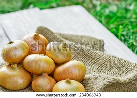 Bulb onion ripe