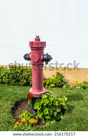 Red fire hydrant on the grass with flowers