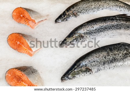 Fresh salmon on ice. Red fish on tray, counter. Fresh fish