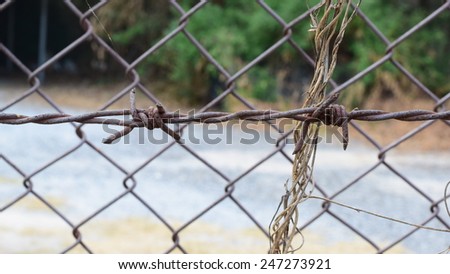 secret area have iron net and barbed wire around