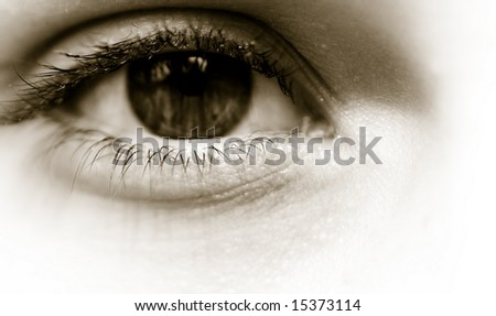 macro shot of a young woman\'s eye eyelash eyelids in black and white