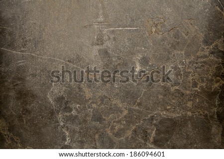 The texture of natural brown with white and black spots granite stone with patches of moss,Stone background