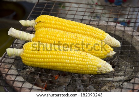 Grilled corn vegetables grilled corn on the hot stove.
