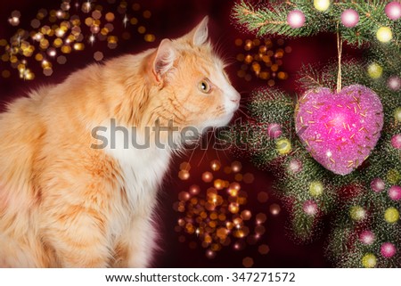 Young ginger cat, surprised looks at the Christmas tree on a festive background