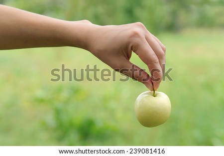 Woman\'s hand holding an apple for the stem