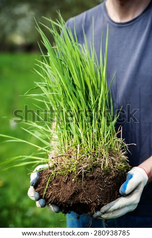 Human hand holding a piece of soil with grass