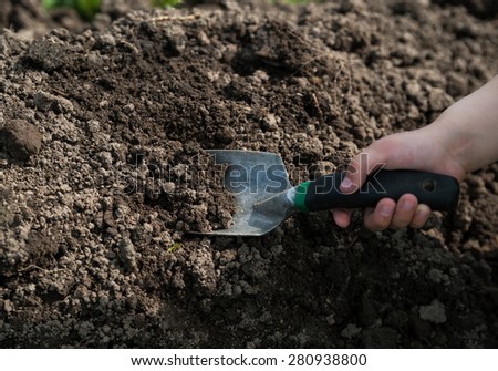 Hand of  child using a shovel digging ground