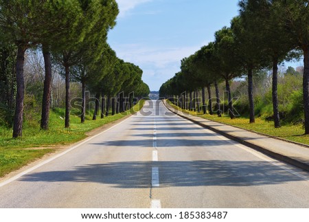 A long paved road leading into distance to the unknown
