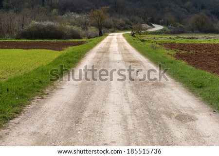 Rough gravel road in the countryside leading far into distance, ending with a curve.