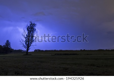 Lightning strikes behind a tree silhouette on a field