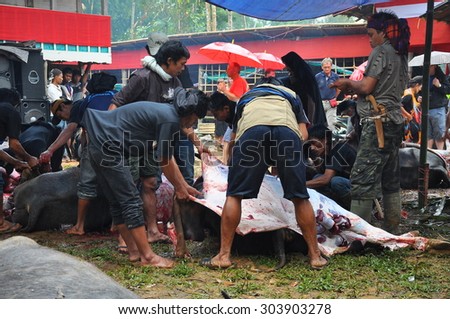 TANA TORAJA, INDONESIA- Aug, 10: Unidentified people cutting up dead buffalo at the end of torajan funeral on August, 10, 2012. Tana Toraja, INDONESIA.
