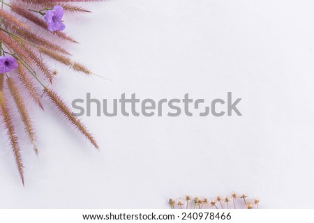 Grass flower text frame for your text on white background
