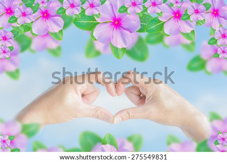 heart shape hand with pink vinca flower background